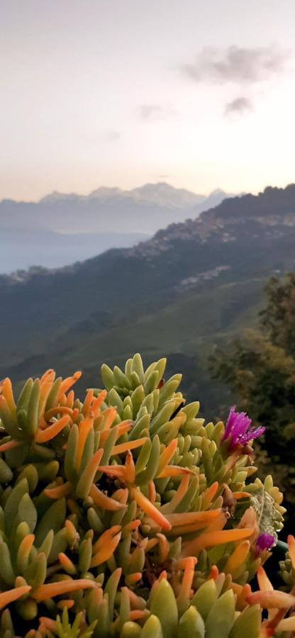 Rajbari Farms Villa Darjeeling  Ngoại thất bức ảnh